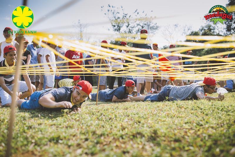 Gợi ý 8 địa điểm tổ chức Team Building tại Đà Lạt nổi tiếng